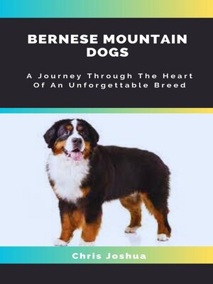 cover image of BERNESE MOUNTAIN DOGS